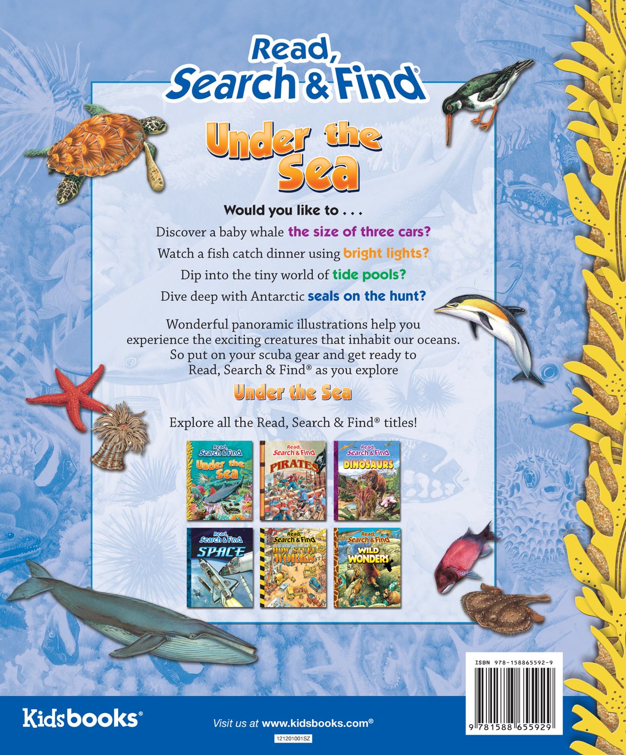 Under the Sea (Read, Search & Find Series)