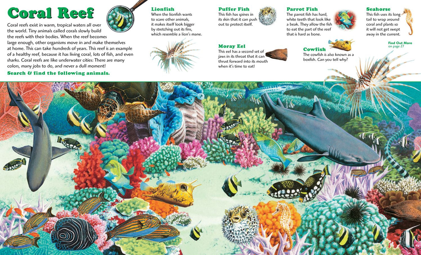 Under the Sea (Read, Search & Find Series)