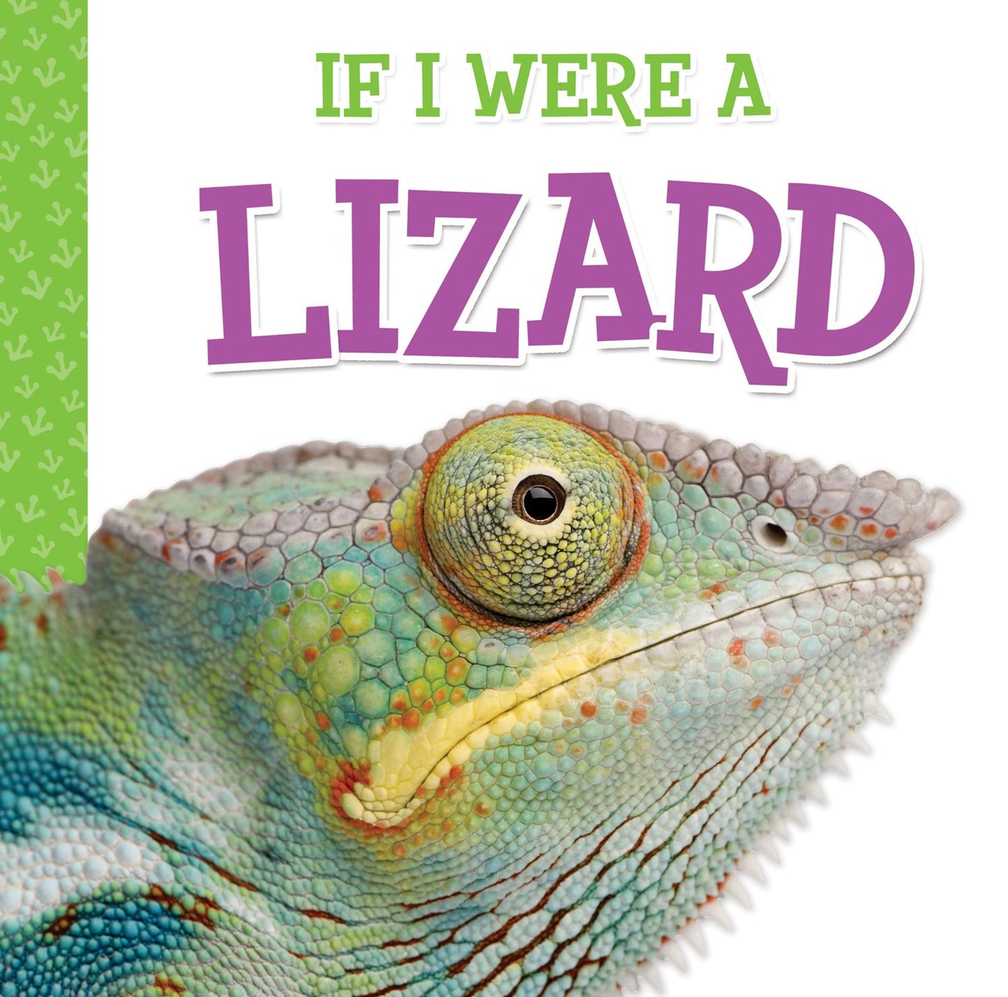 If I Were a Lizard