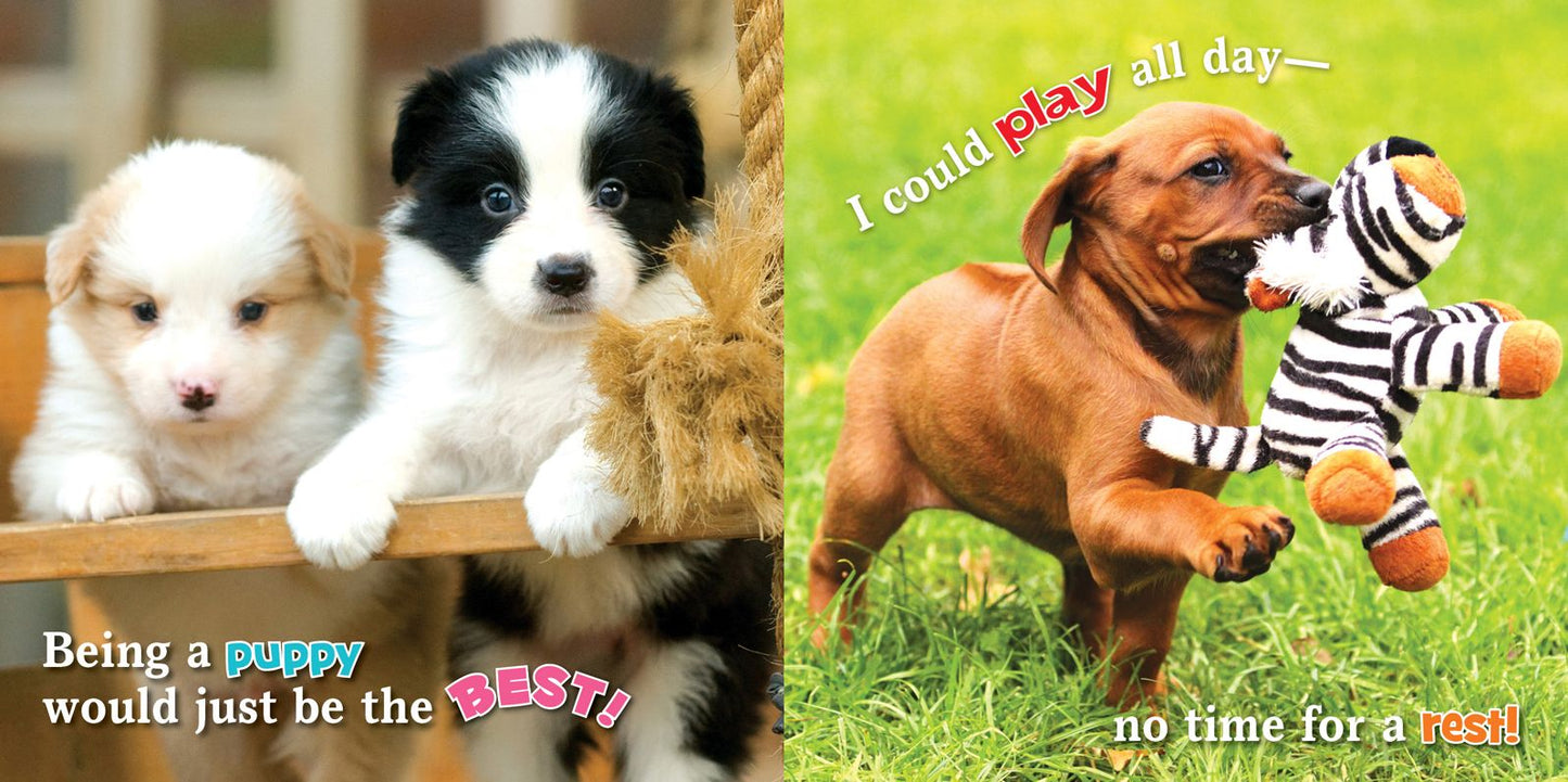 If I Were a Dog
