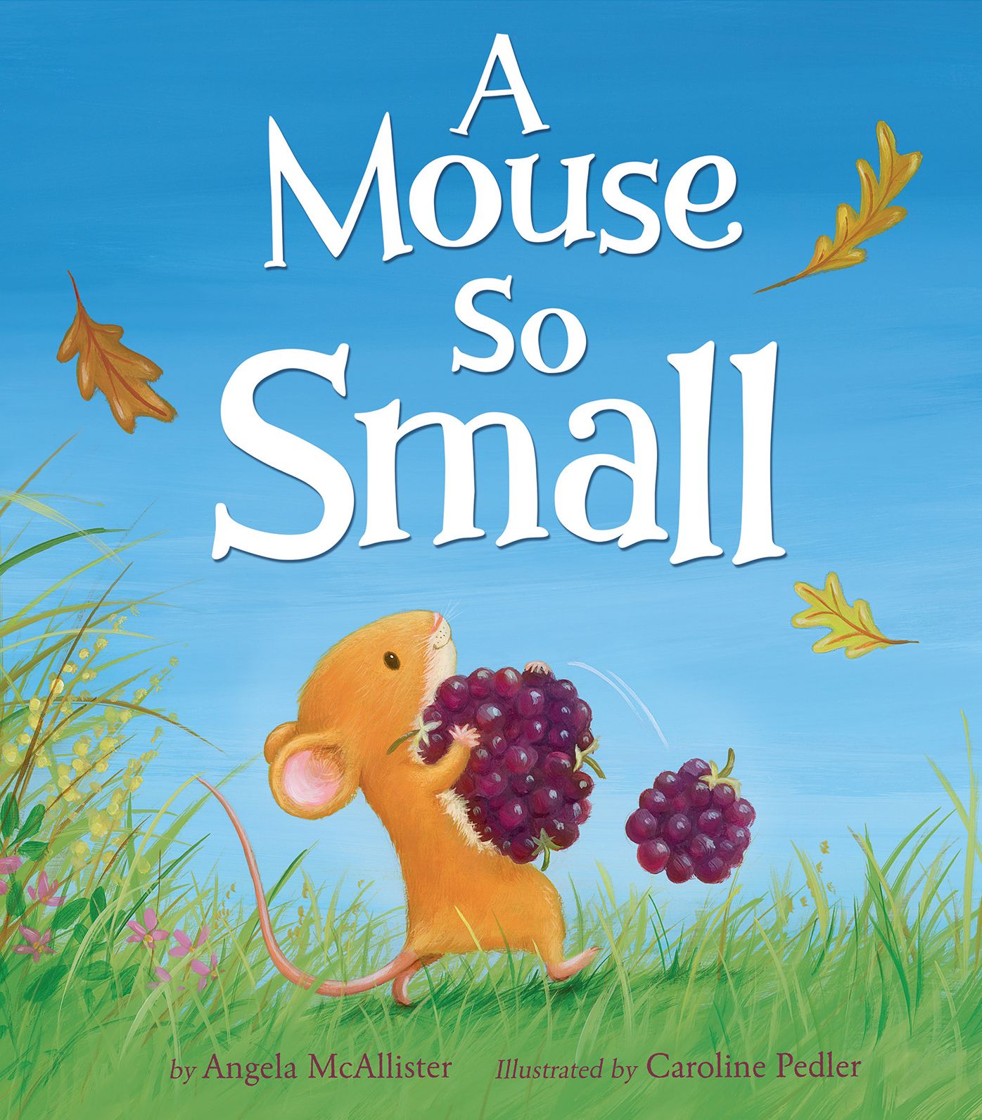 A Mouse So Small