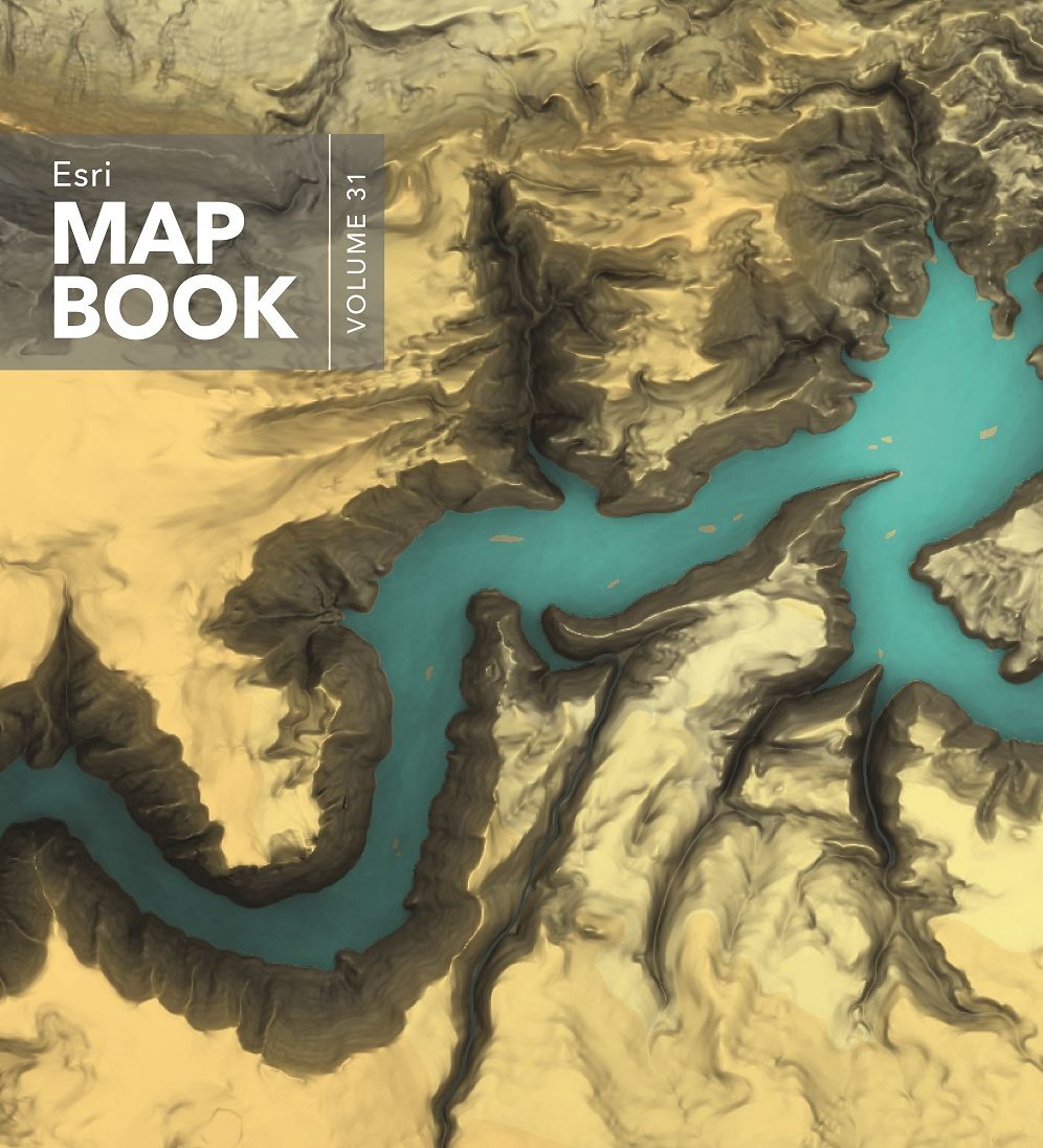 Esri Map Book, Volume 31
