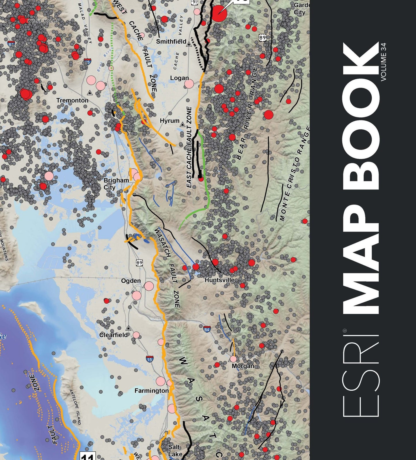 ESRI Map Book, Volume 34: Volume 34