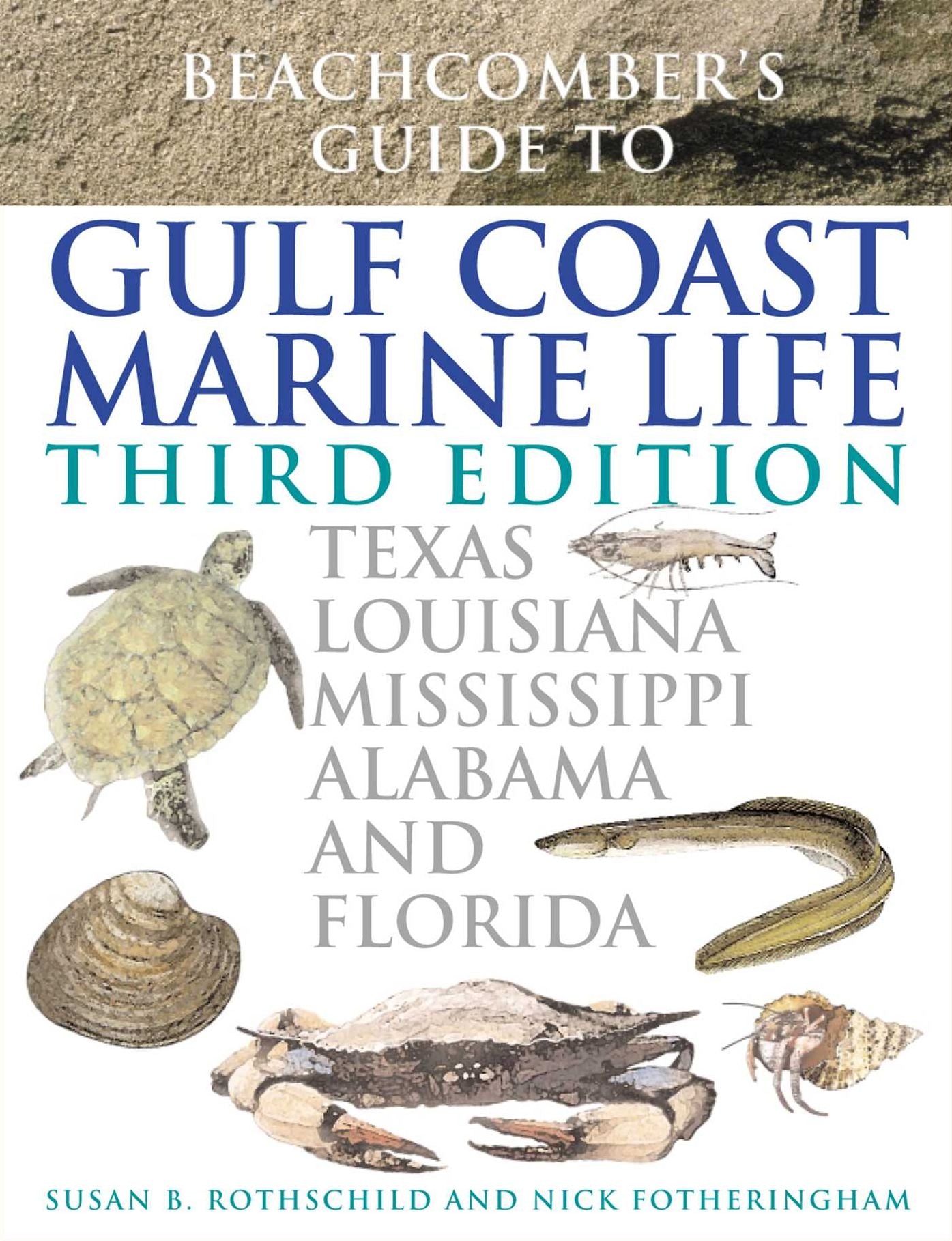 Beachcomber's Guide To Gulf Coast Marine Life