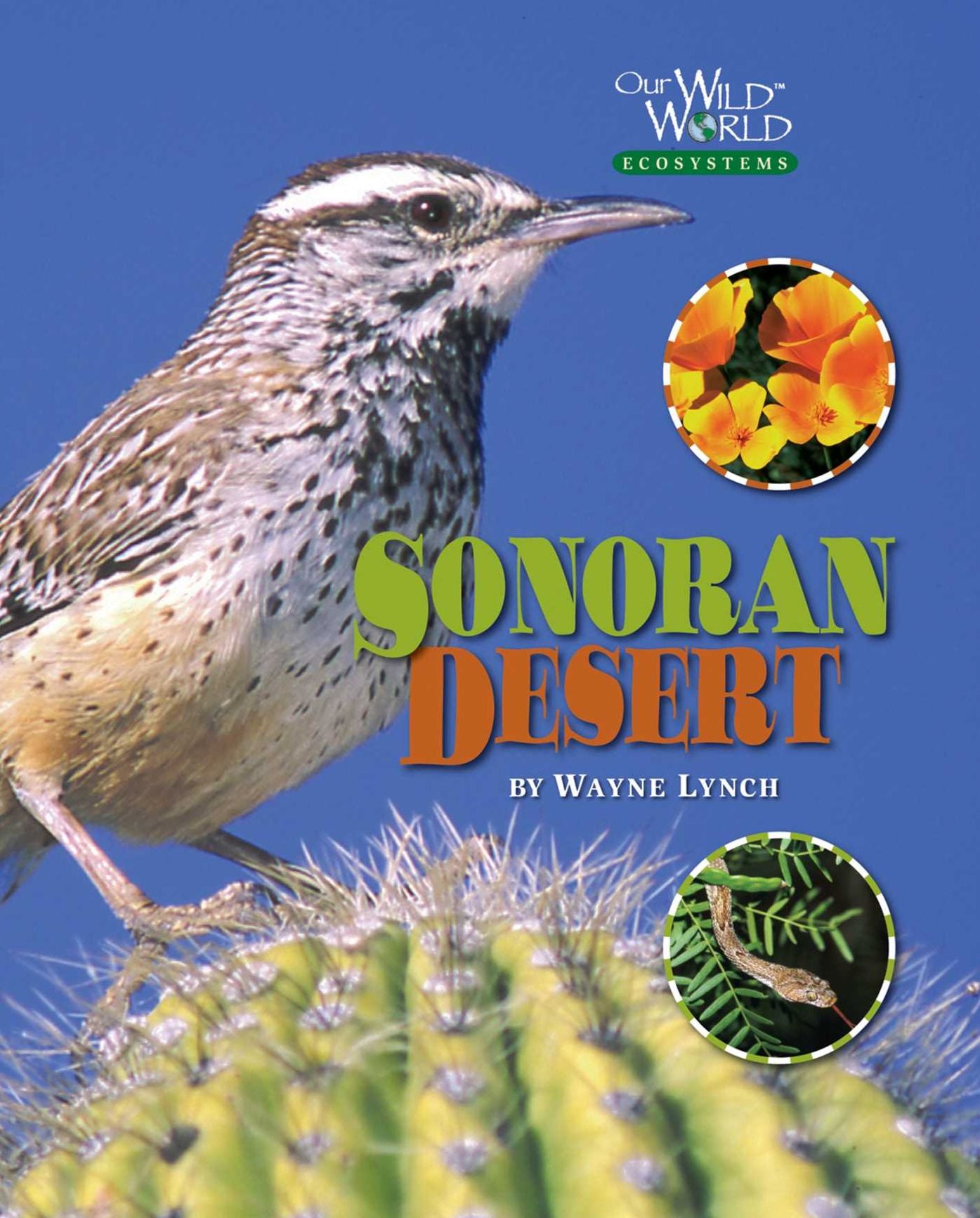 The Sonoran Desert