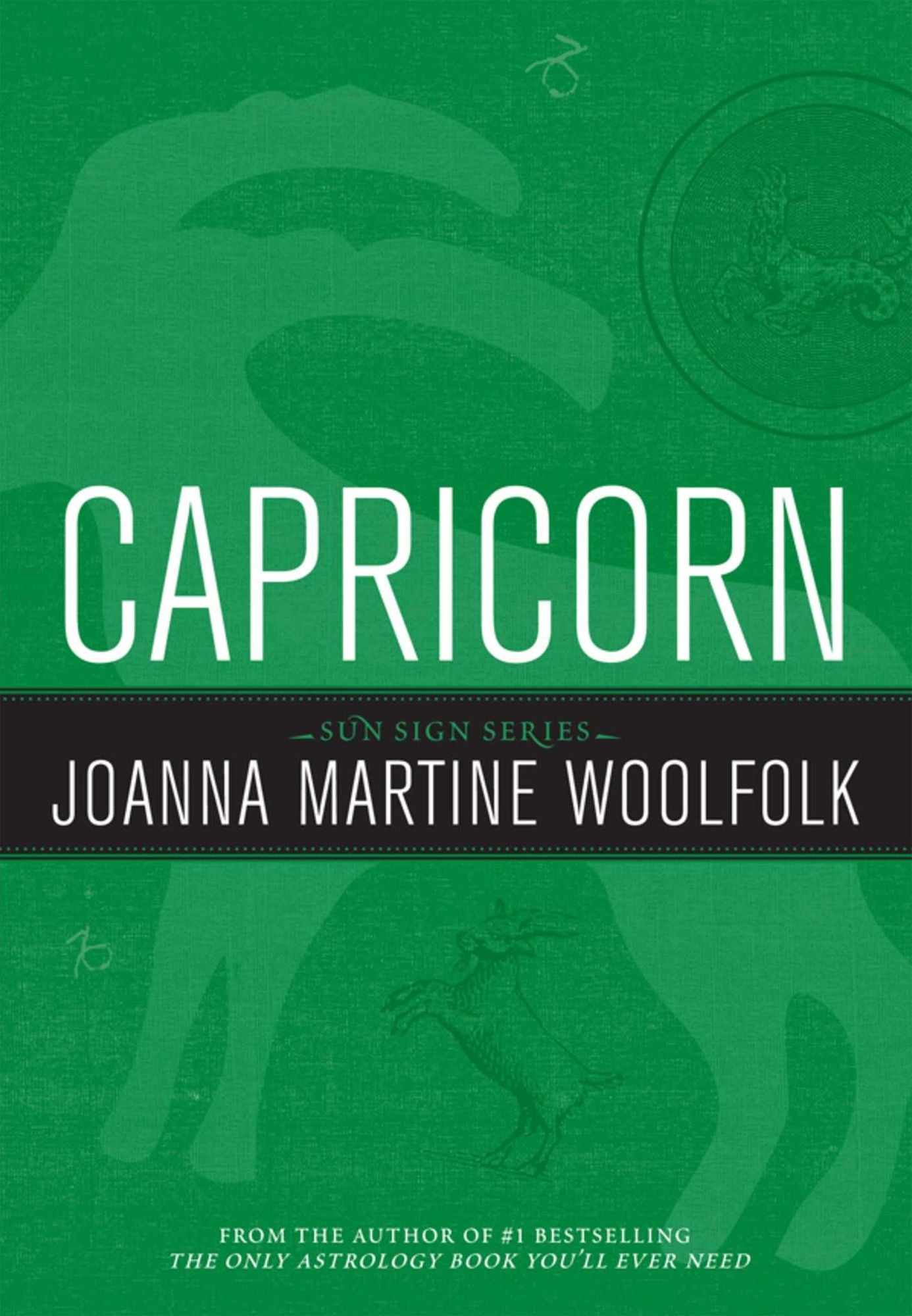 Capricorn: Sun Sign Series