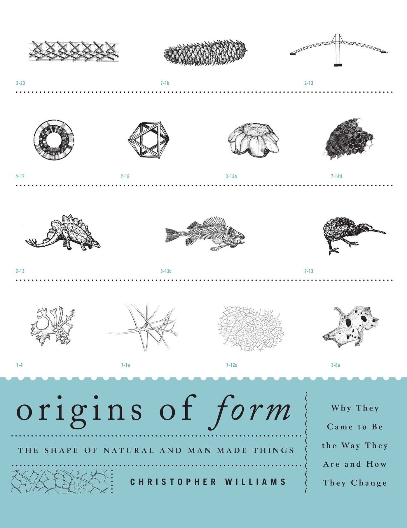 Origins of Form: The Shape of Natural and Man-made Things - Why They Came to Be the Way They Are and How They Change