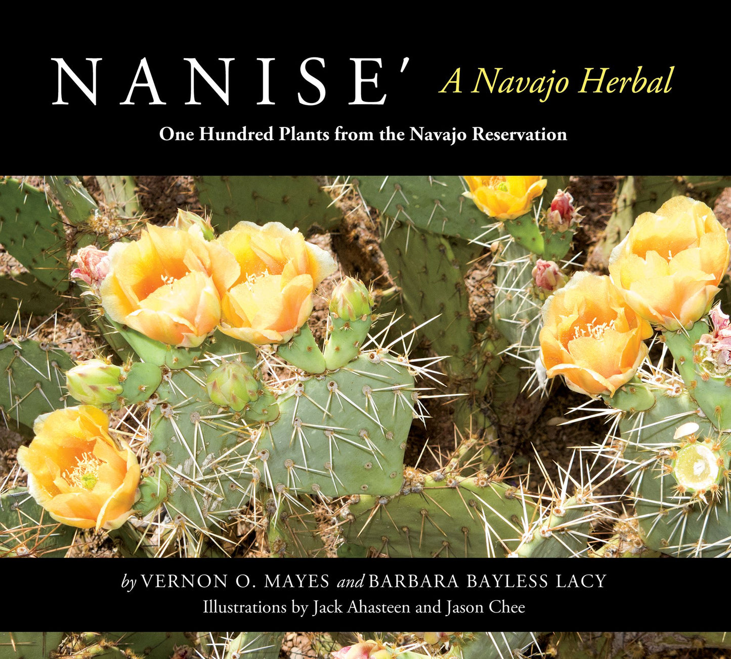 Nanise', A Navajo Herbal: One Hundred Plants from the Navajo Reservation