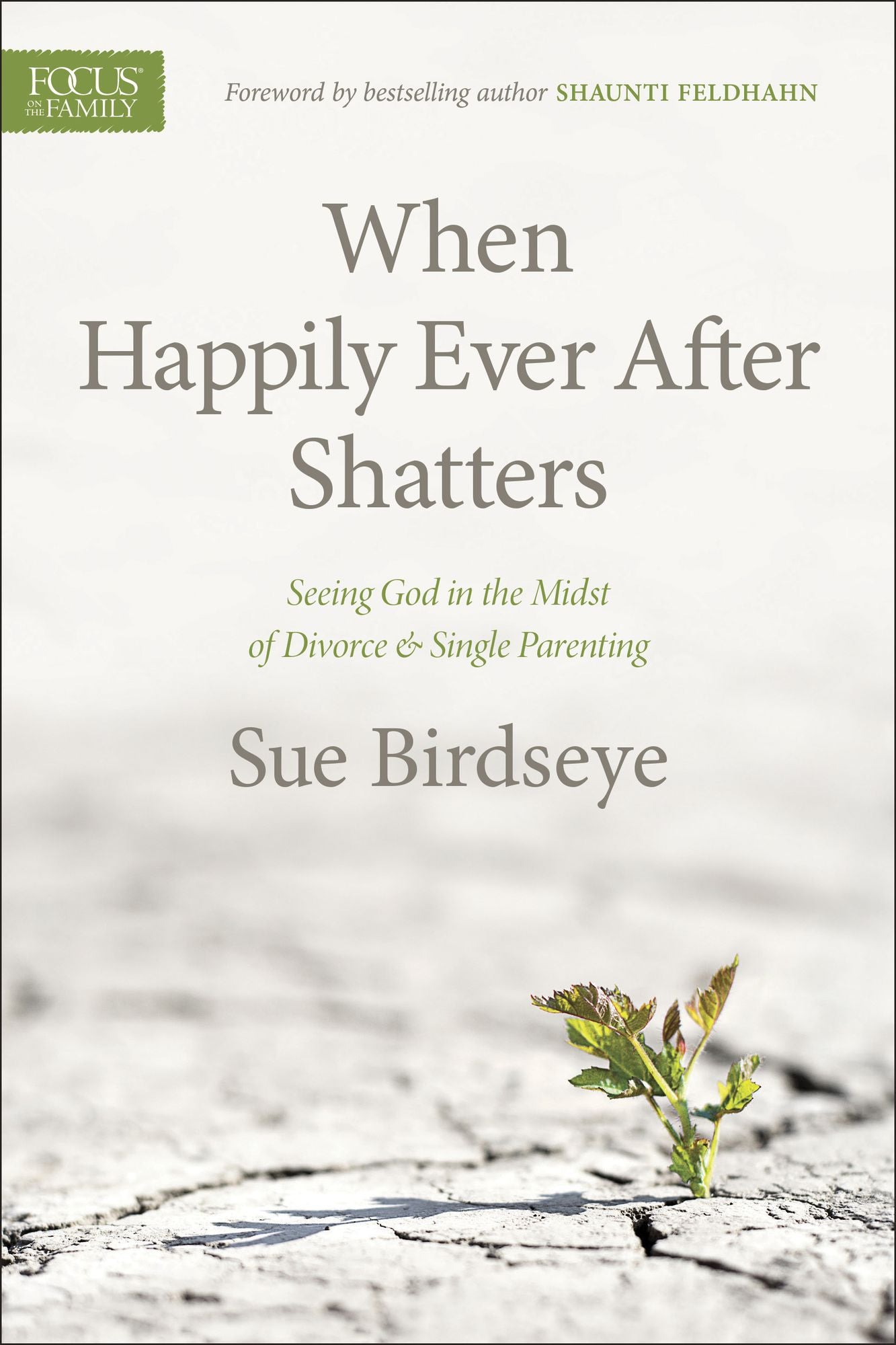 When Happily Ever After Shatters: Seeing God in the Midst of Divorce & Single Parenting