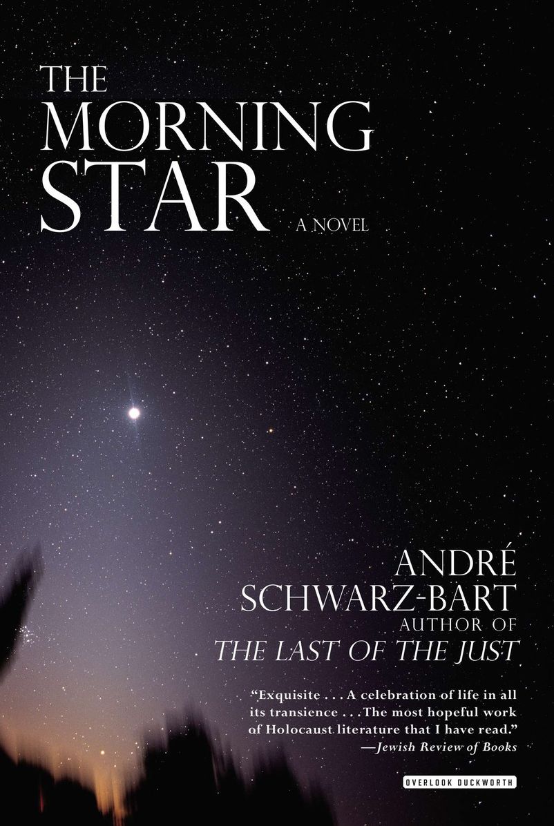 Morning Star: A Novel
