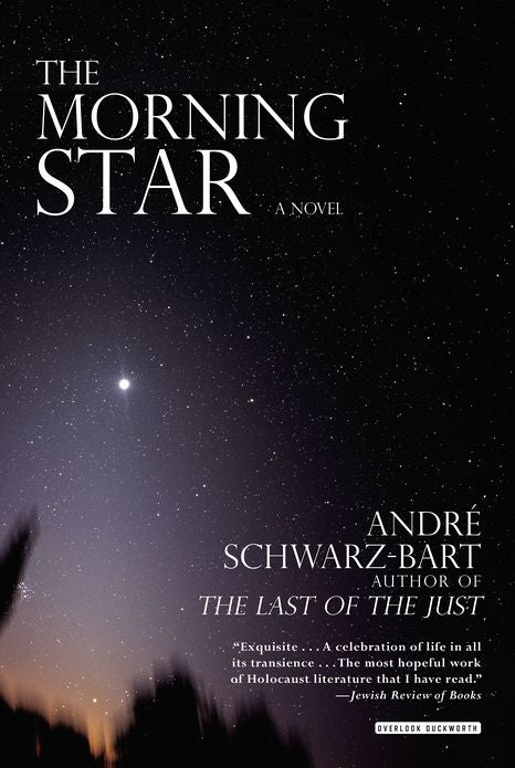 Morning Star: A Novel