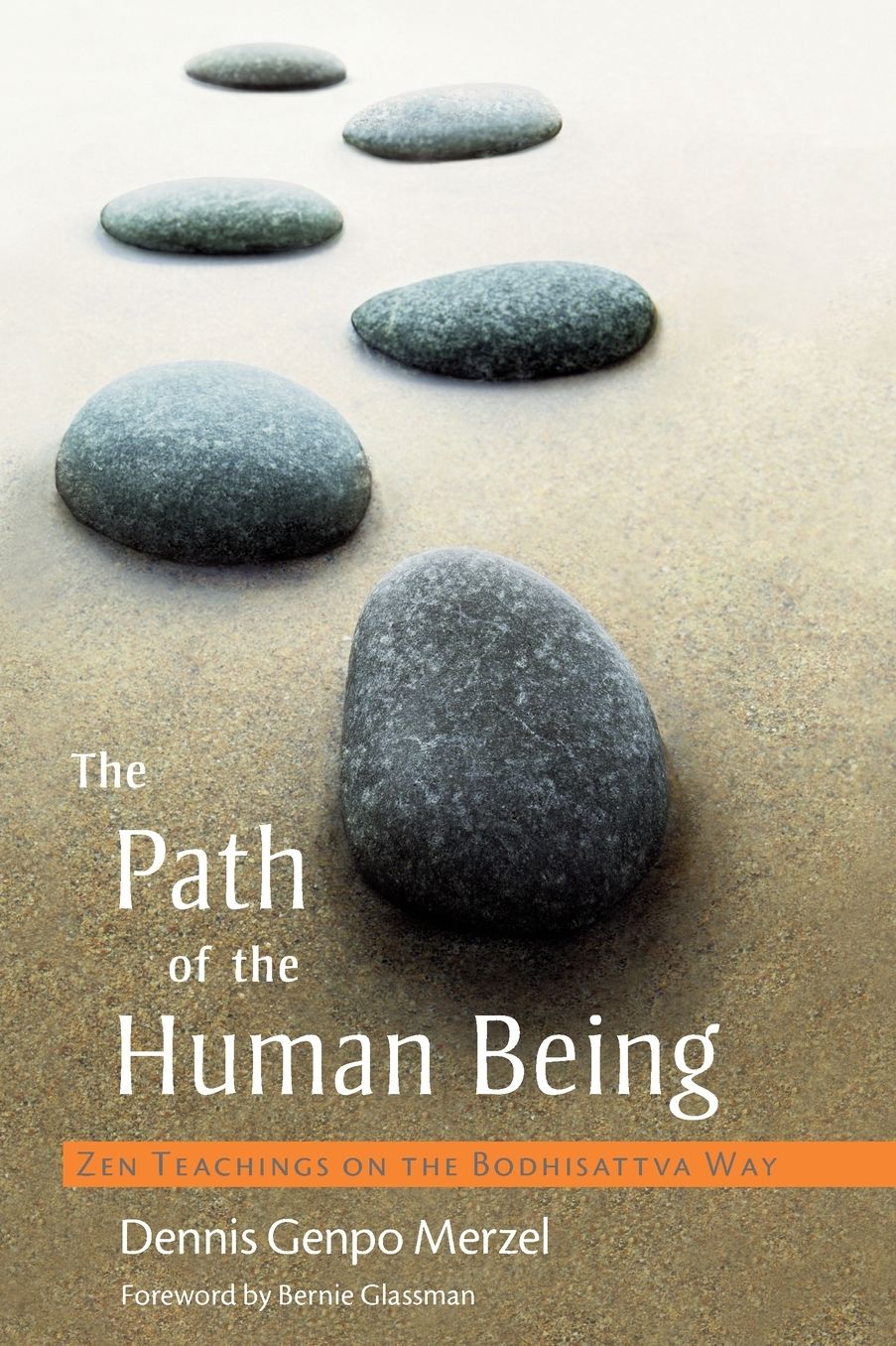 The Path of the Human Being: Teachings on the Bodhisattva Way