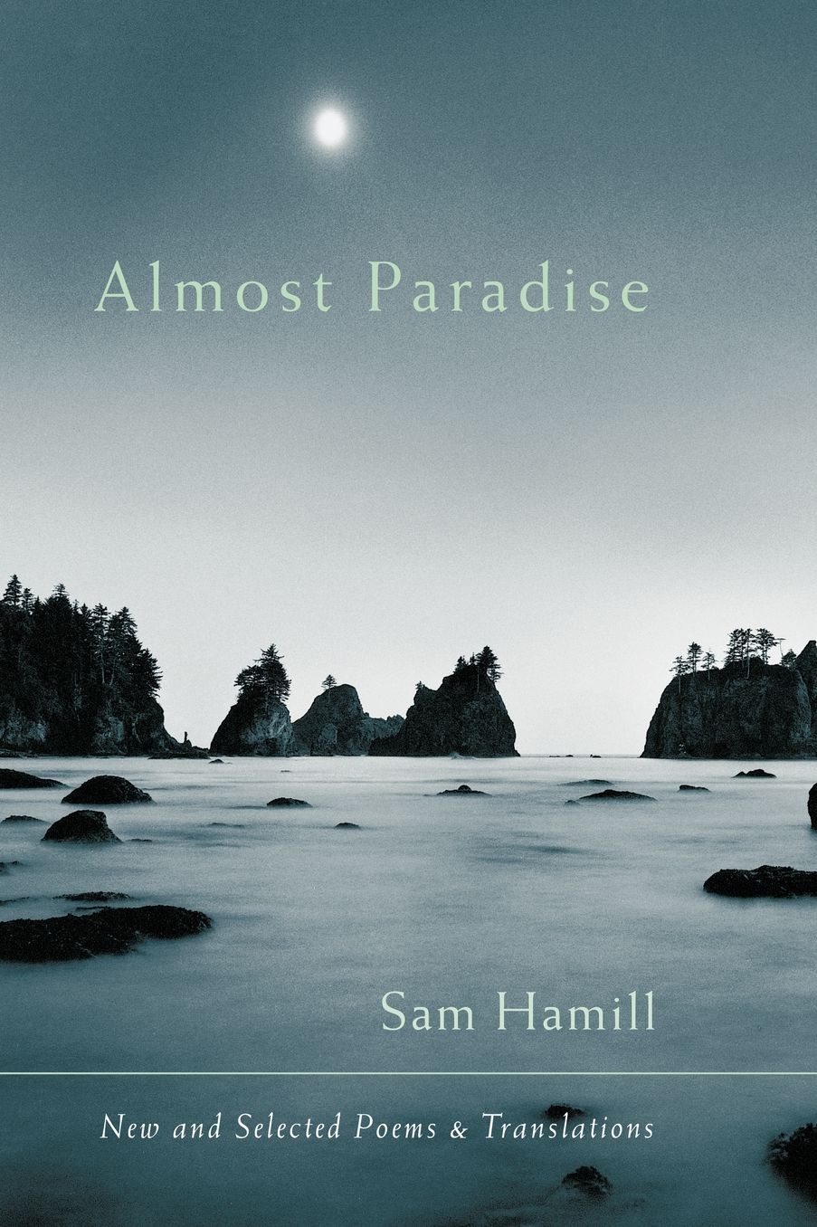 Almost Paradise: New and Selected Poems and Translations