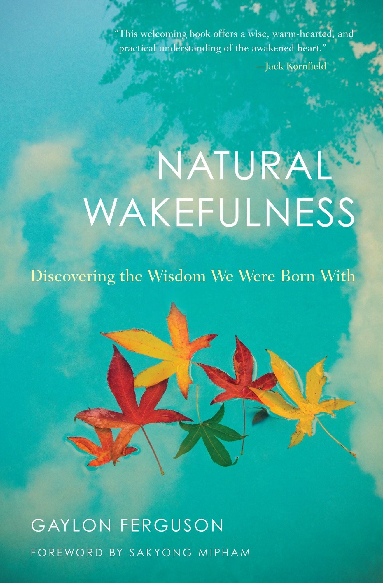 Natural Wakefulness: Discovering the Wisdom We Were Born With