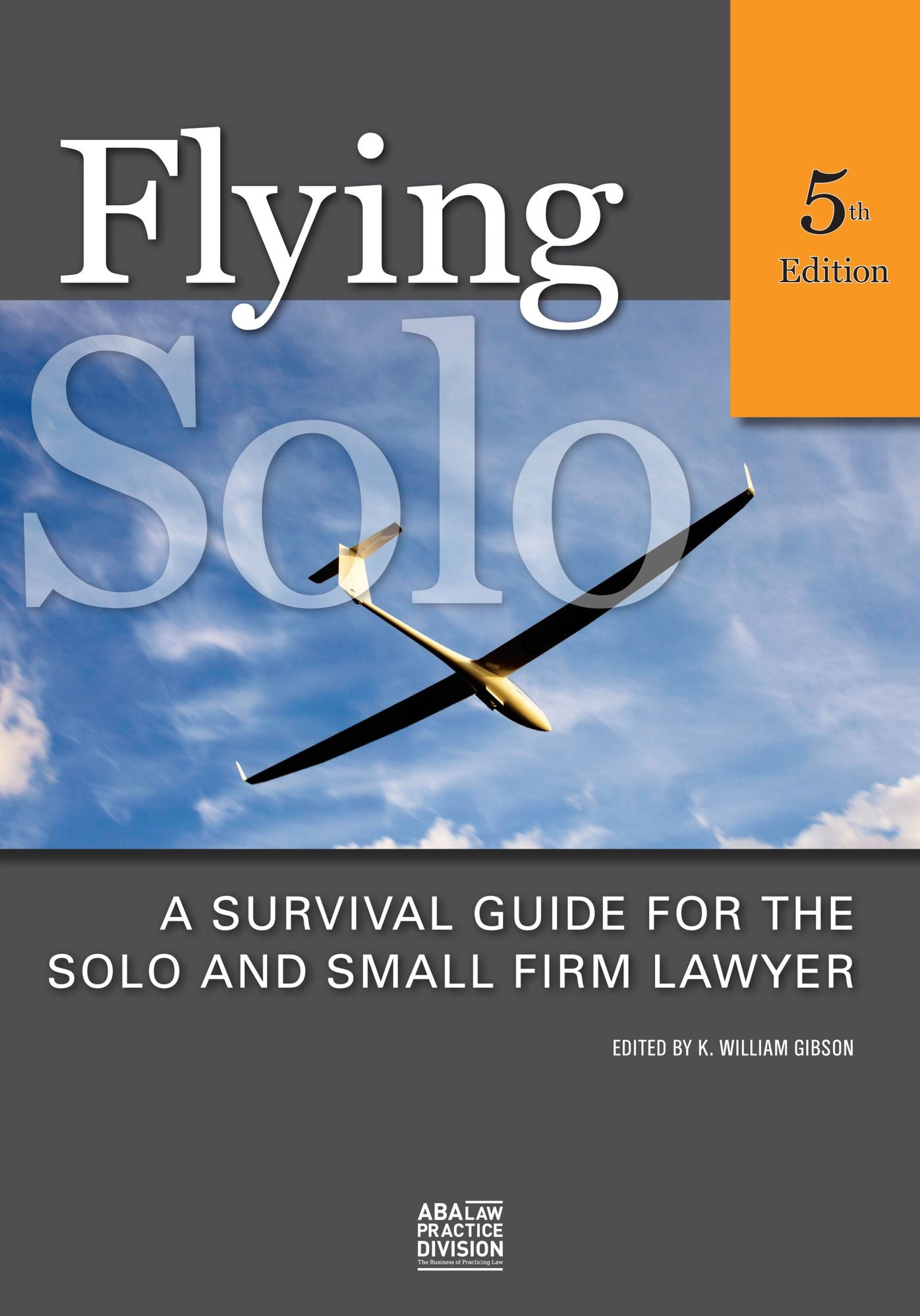 Flying Solo: A Survival Guide for Solos and Small Firm Lawyer