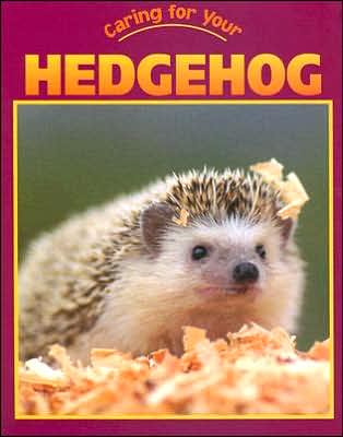 Caring for Your Hedgehog