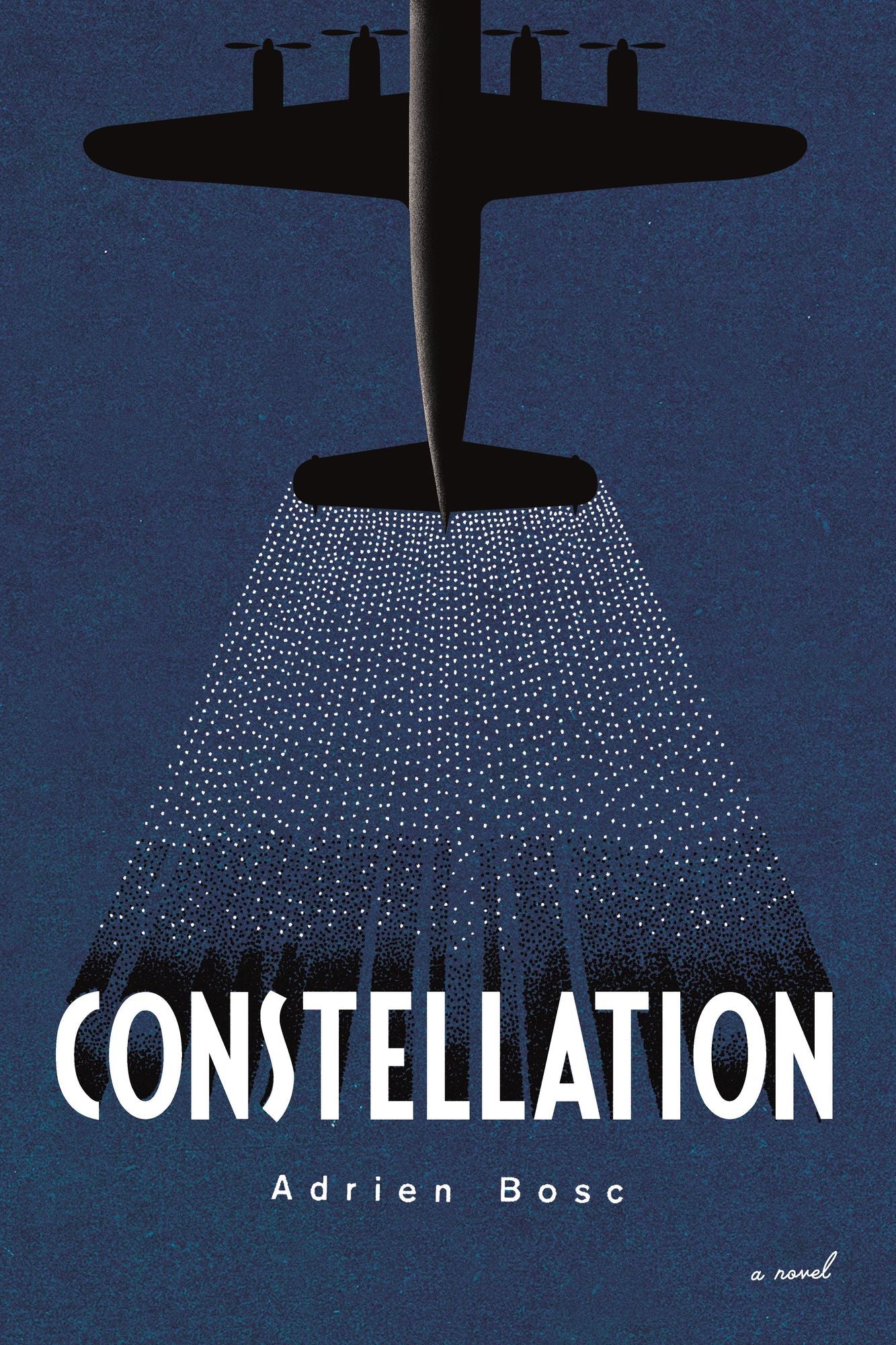 Constellation: A Novel Based on True Events