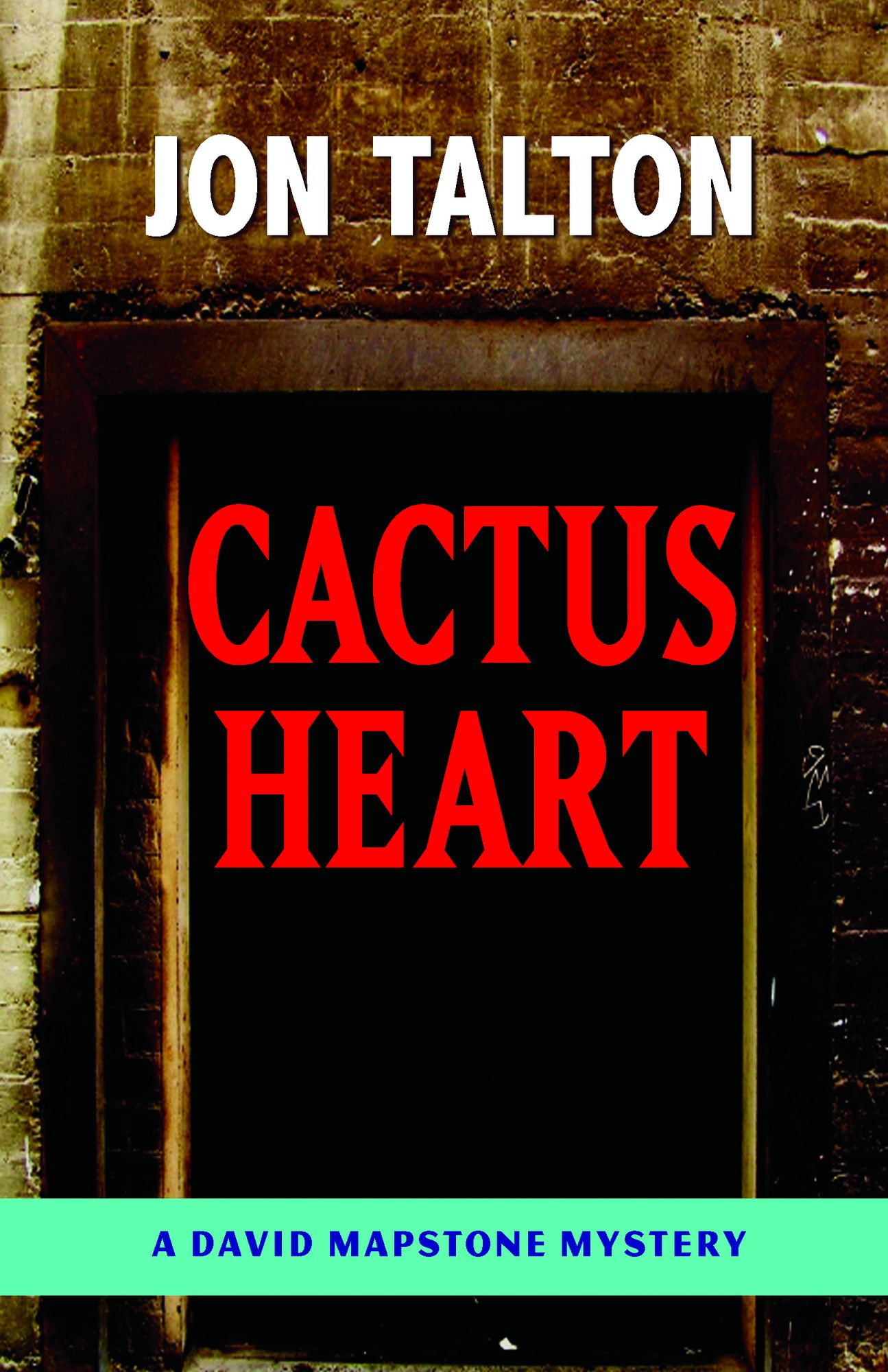 Cactus Heart (David Mapstone Series Prequel)