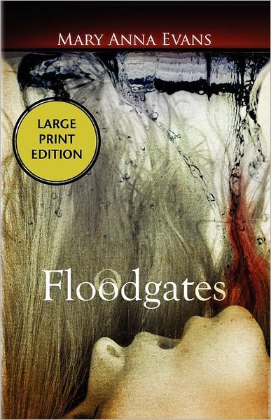 Floodgates (Faye Longchamp Series #5)