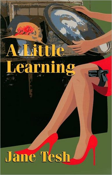 A Little Learning (Madeleine Maclin Series #3)