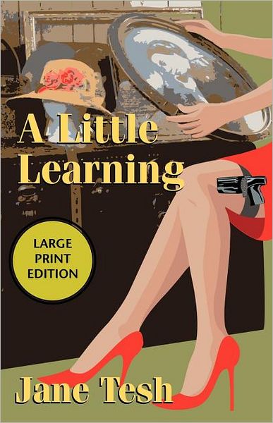 A Little Learning (Madeleine Maclin Series #3)