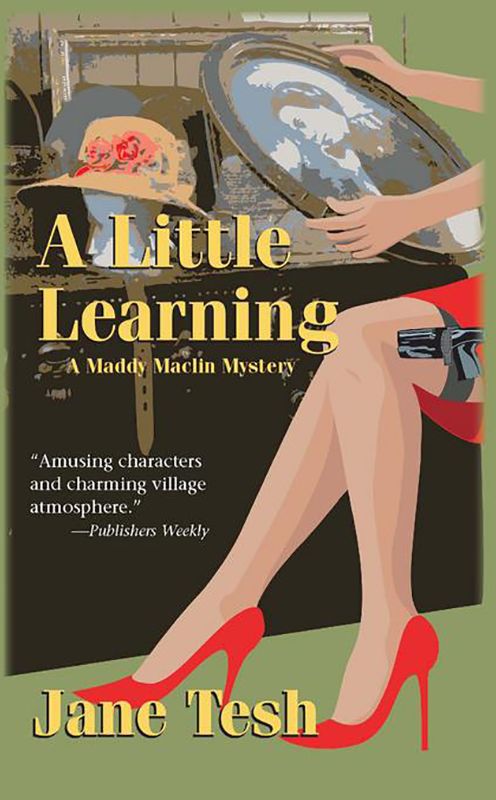 A Little Learning (Madeleine Maclin Series #3)