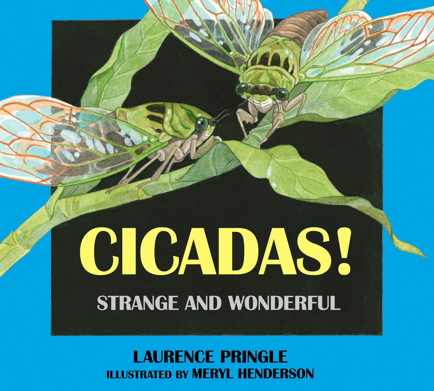 Cicadas! Strange and Wonderful