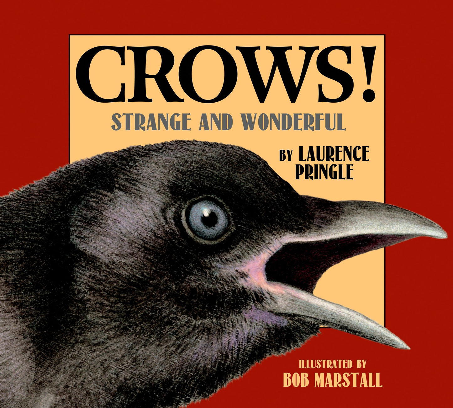 Crows! Strange and Wonderful