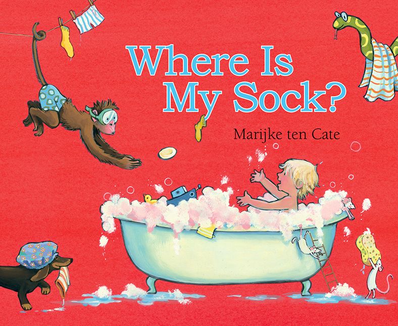 Where Is My Sock?