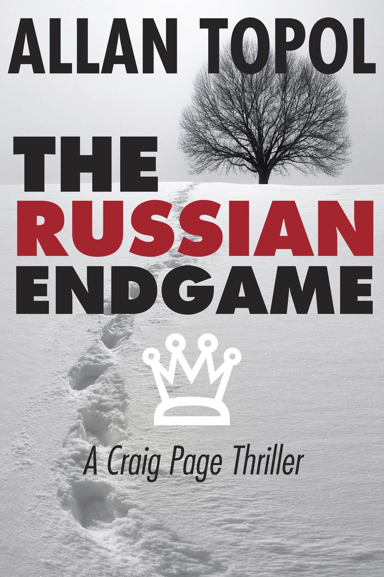The Russian Endgame: A Craig Page Thriller