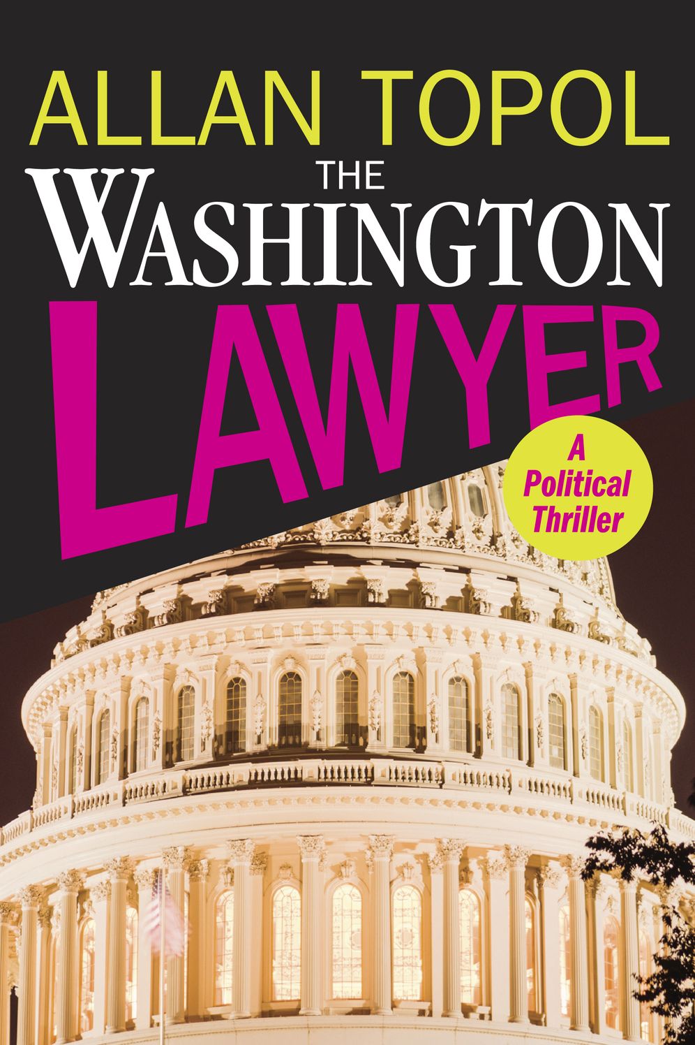 The Washington Lawyer: A Political Thriller