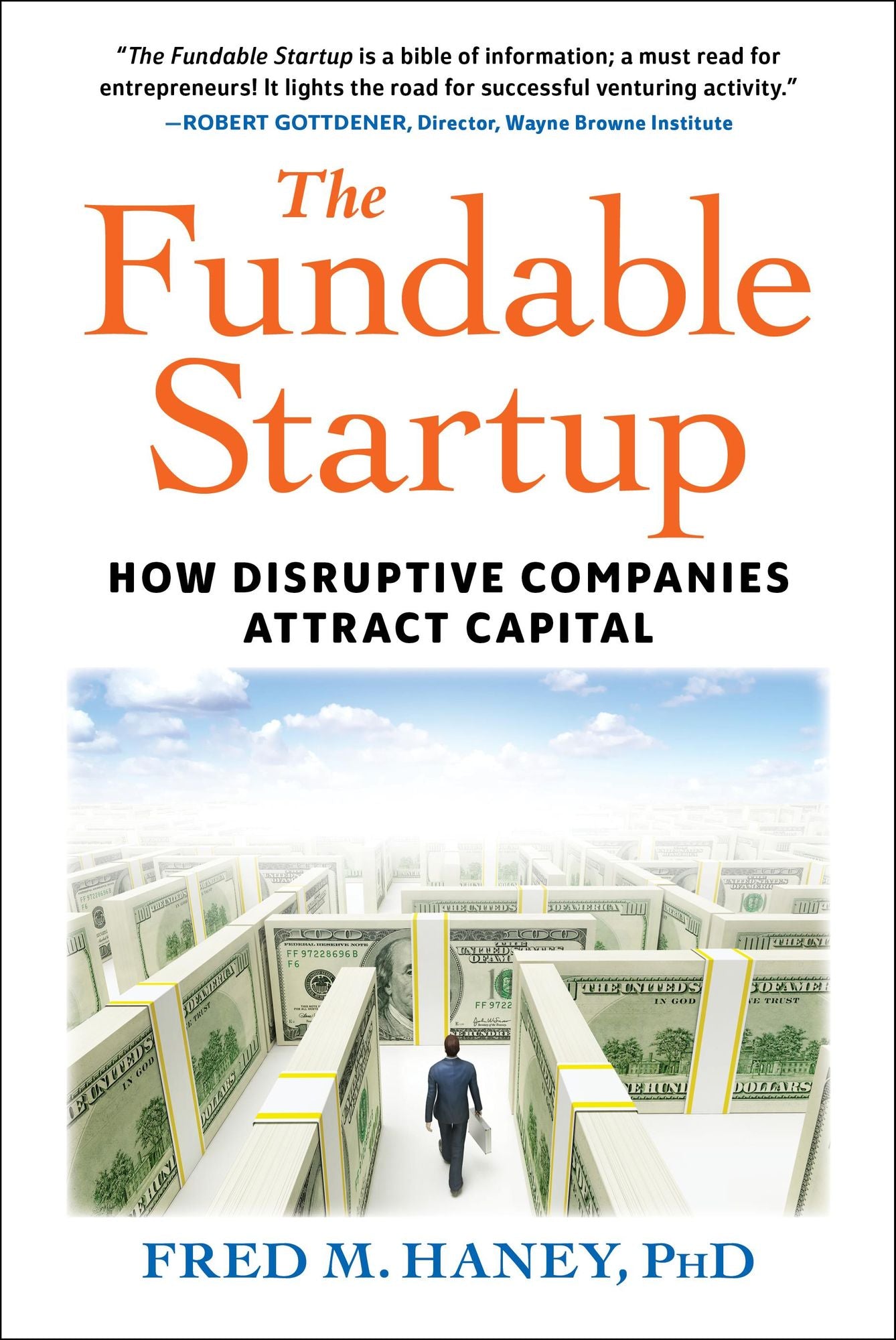 The Fundable Startup: How Disruptive Companies Attract Capital