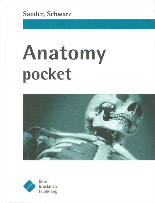 Anatomy Pocket