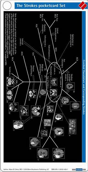 Strokes Pocketcard Set