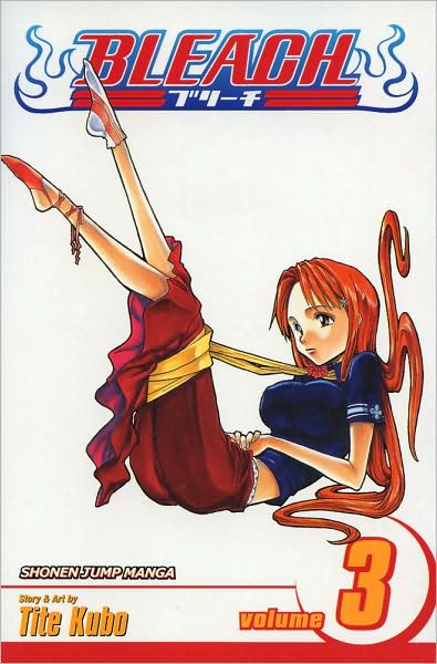 Bleach, Volume 3: Memories in the Rain