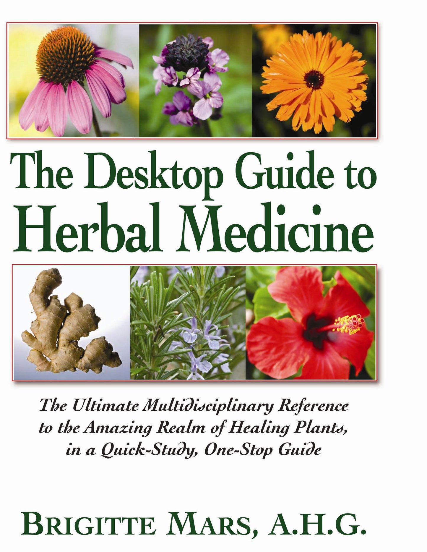 The Desktop Guide to Herbal Medicine