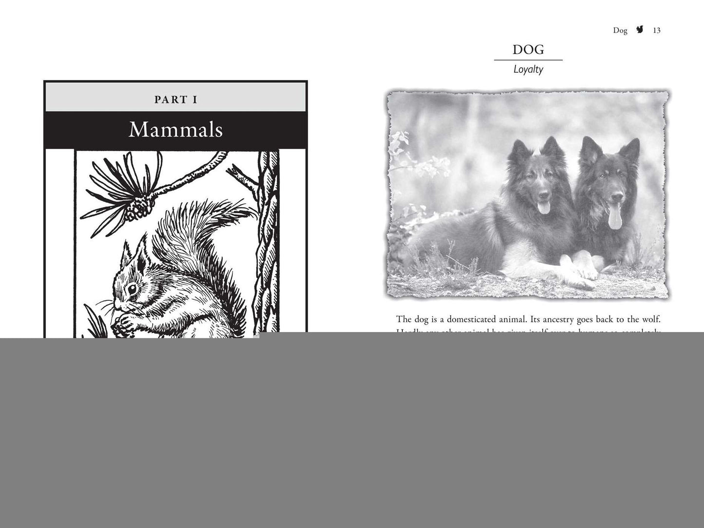 Animal Messengers: An A-Z Guide to Signs and Omens in the Natural World