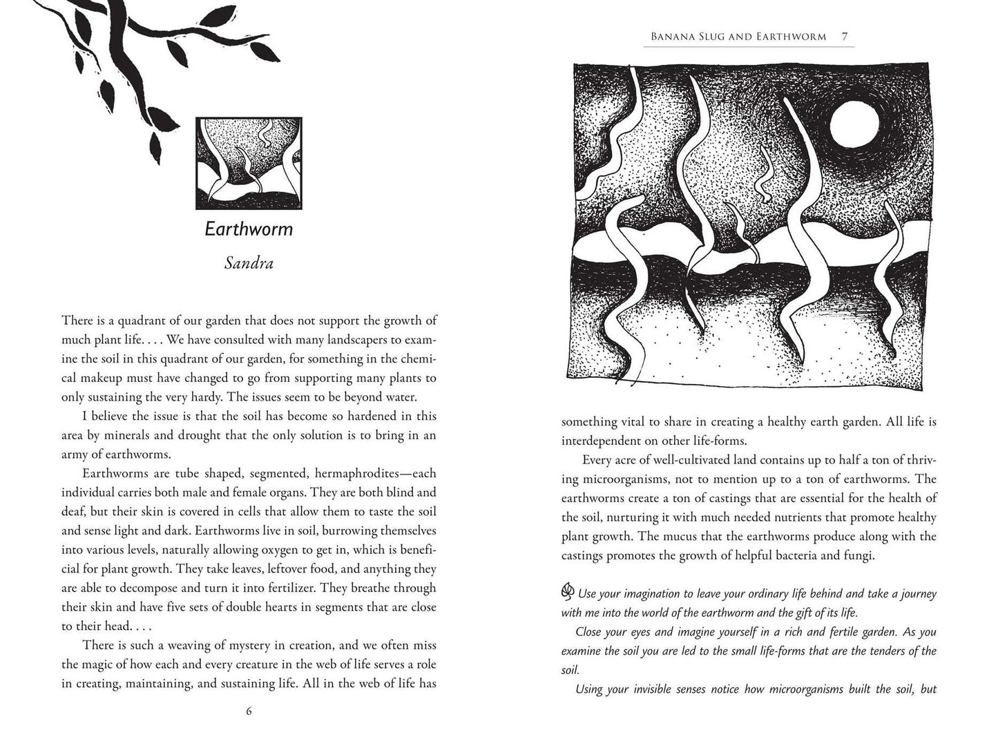 Speaking with Nature: Awakening to the Deep Wisdom of the Earth