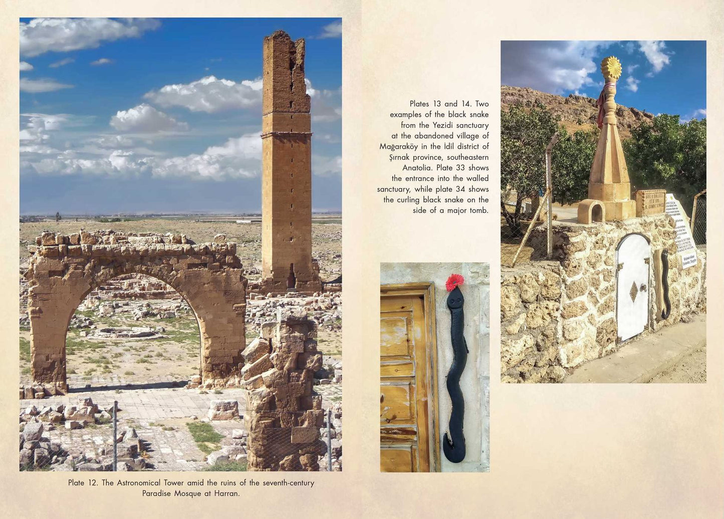 Karahan Tepe: Civilization of the Anunnaki and the Cosmic Origins of the Serpent of Eden