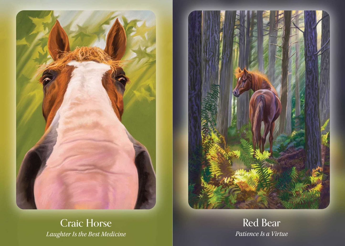 The Council of Horses Oracle: A 40-Card Deck and Guidebook
