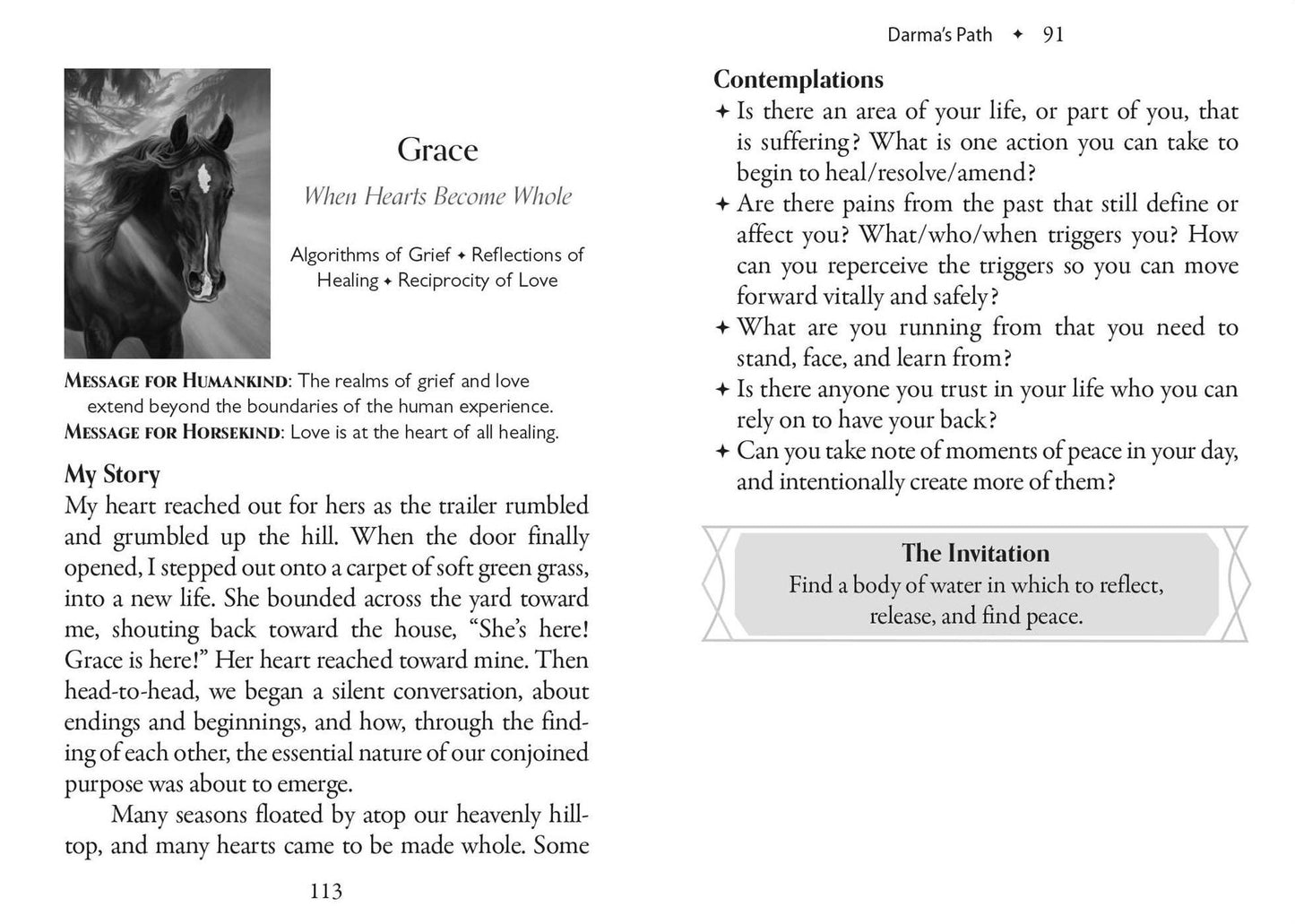 The Council of Horses Oracle: A 40-Card Deck and Guidebook