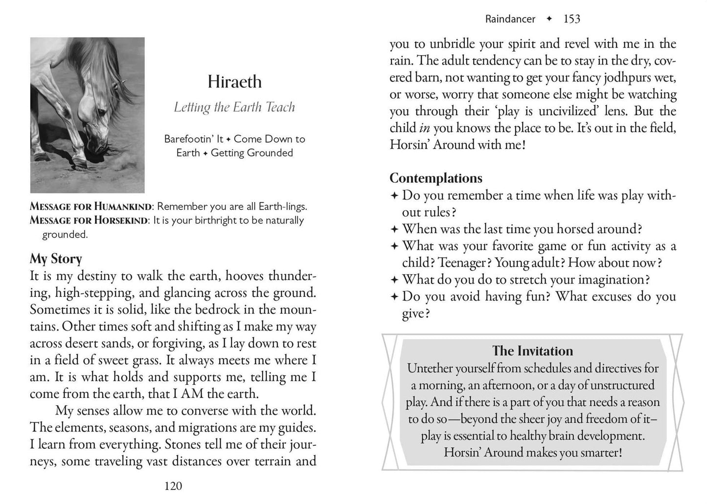 The Council of Horses Oracle: A 40-Card Deck and Guidebook