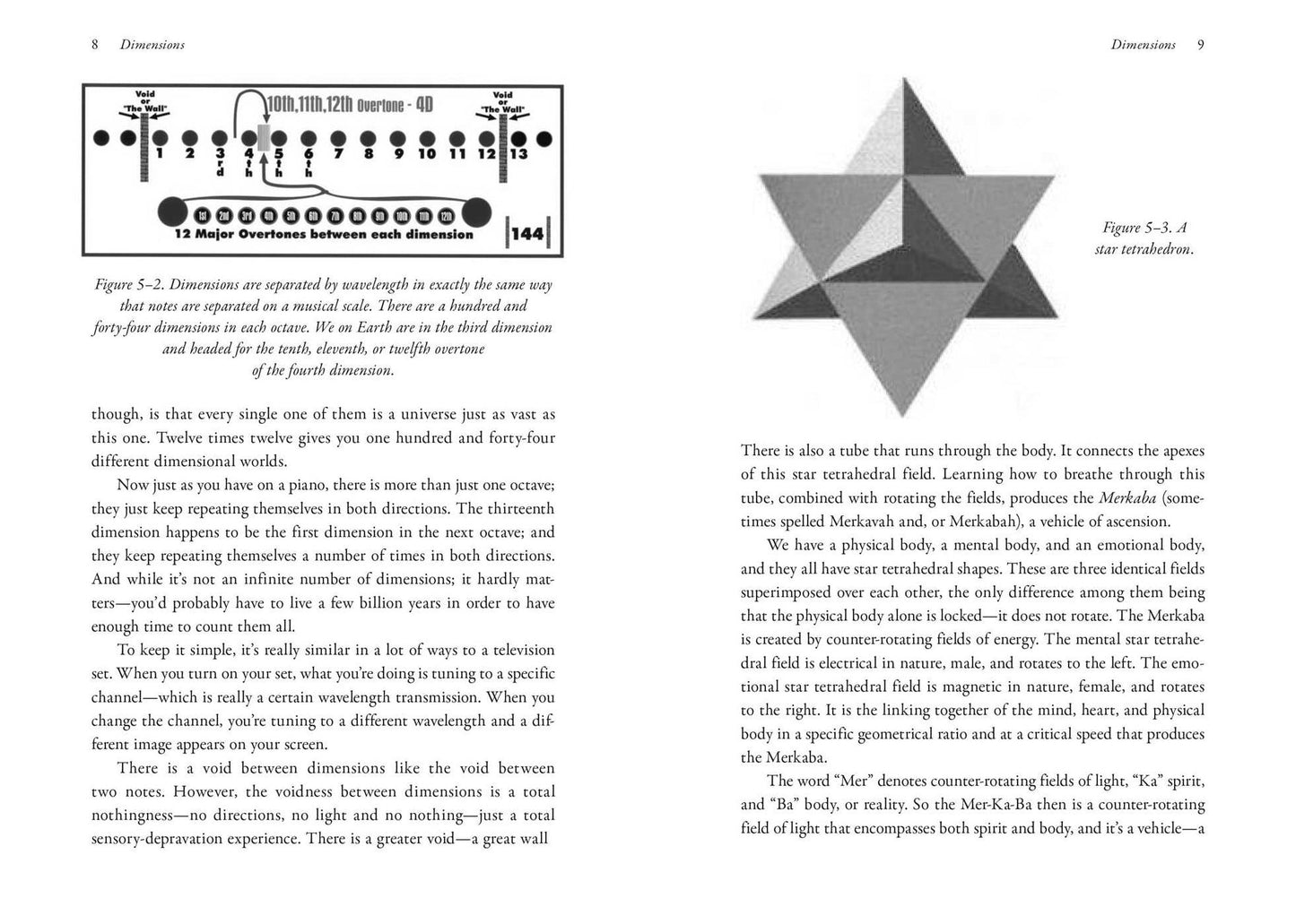 Nothing in This Book Is True, But It's Exactly How Things Are: The Secret History of the Earth, Merkaba Activation, and Breath Alchemy