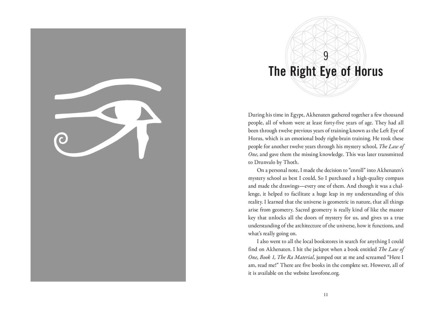 Nothing in This Book Is True, But It's Exactly How Things Are: The Secret History of the Earth, Merkaba Activation, and Breath Alchemy