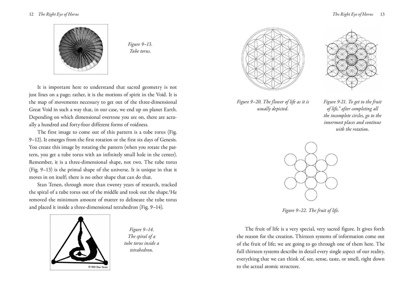 Nothing in This Book Is True, But It's Exactly How Things Are: The Secret History of the Earth, Merkaba Activation, and Breath Alchemy
