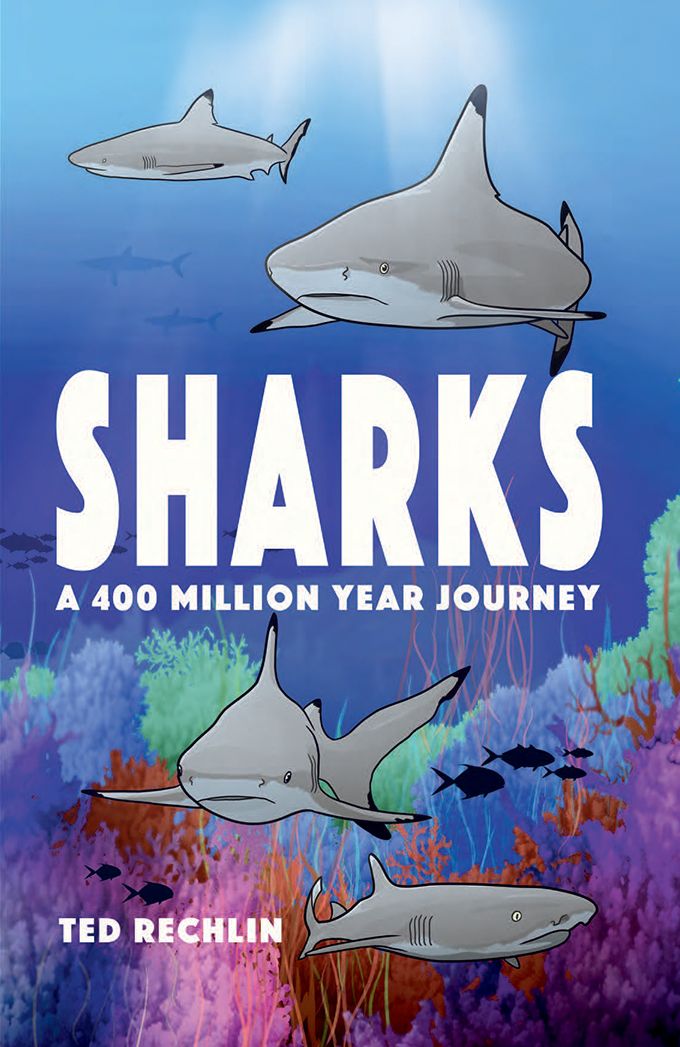 Sharks: A 400 Million Year Journey