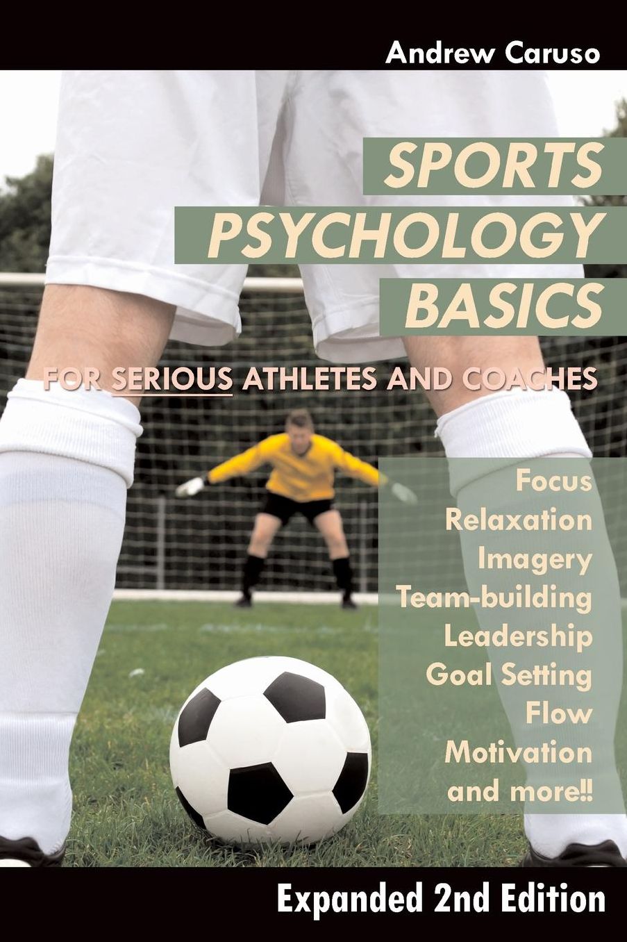 Sports Psychology Basics