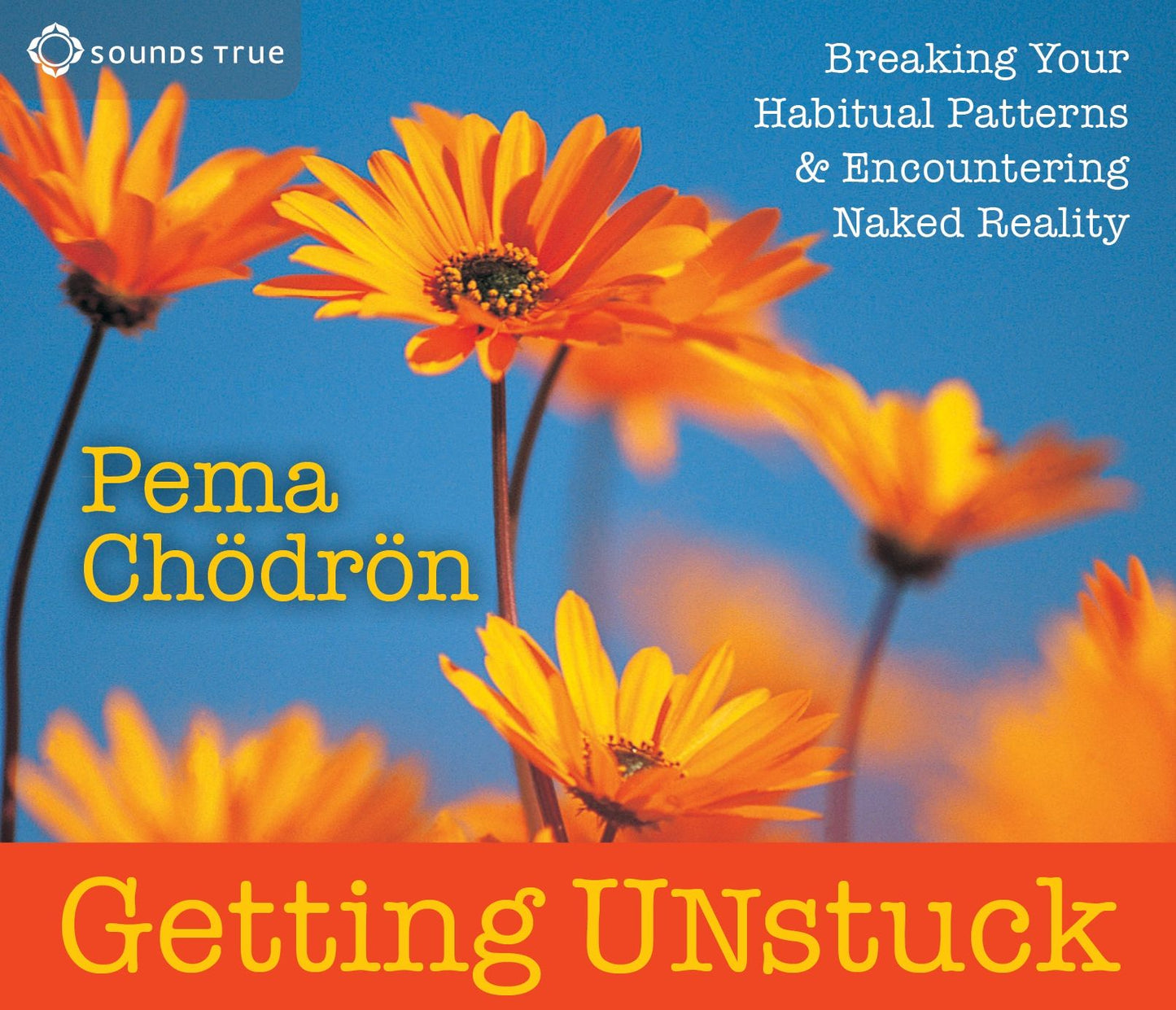 Getting Unstuck: Breaking Your Habitual Patterns and Encountering Naked Reality