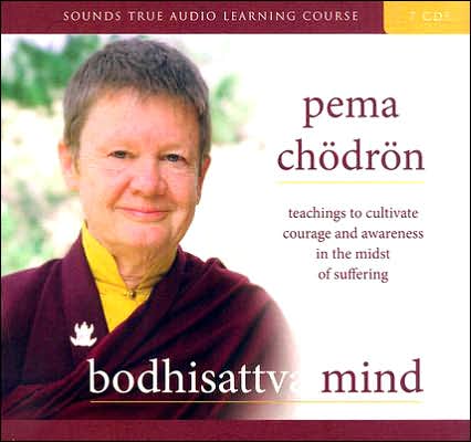 Bodhisattva Mind: Teachings to Cultivate Courage and Awareness in the Midst of Suffering