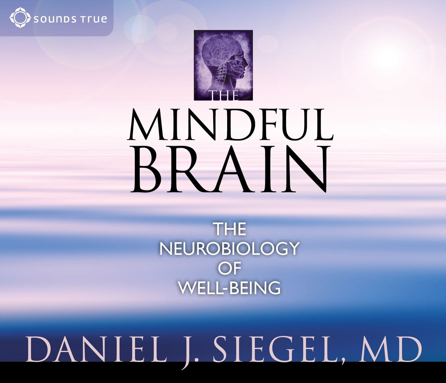 The Mindful Brain